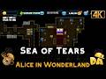Sea of Tears Alice in Wonderland 3 Diggy39s Adventure