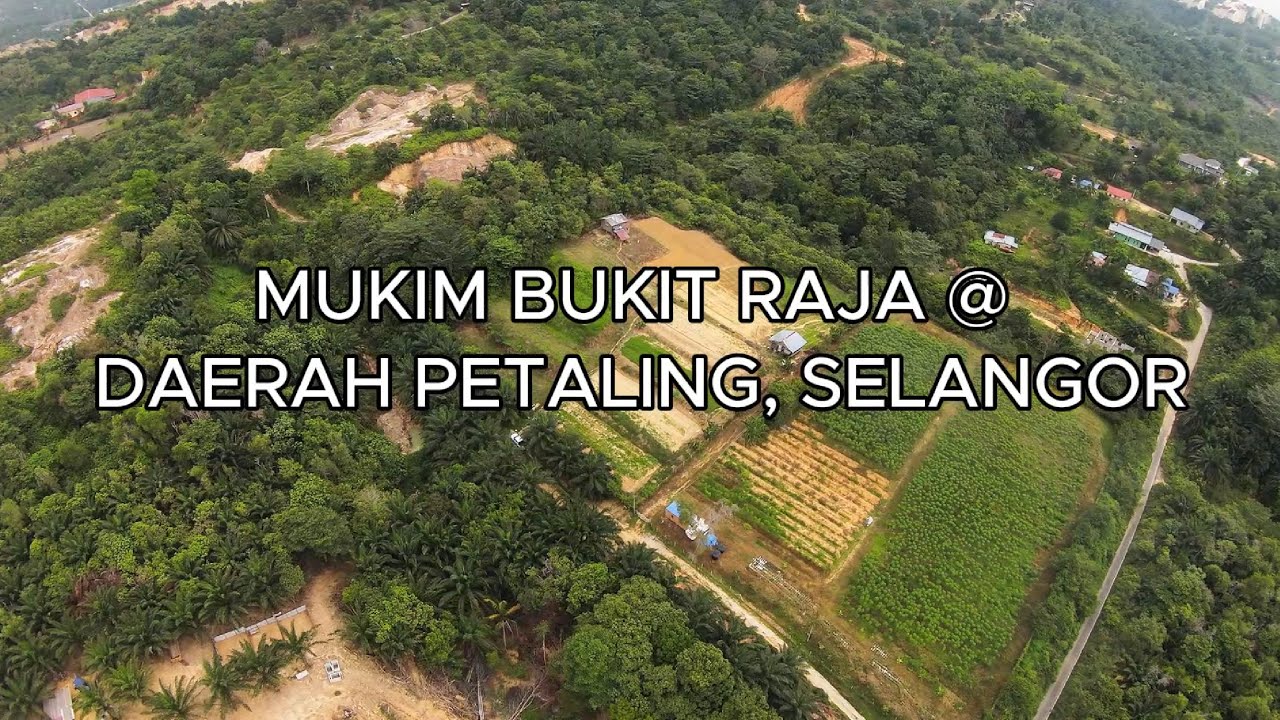 [Owner Auction™] 3.19 Acres of Agricultural Land in Bukit Cherakah, Selangor: A Farmer's Dream?