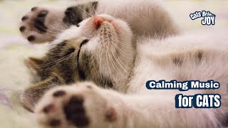 Calming Music for Cats - Relaxation, Sleep, Stress Relief, Anti-Anxiety Piano Music For Kittens