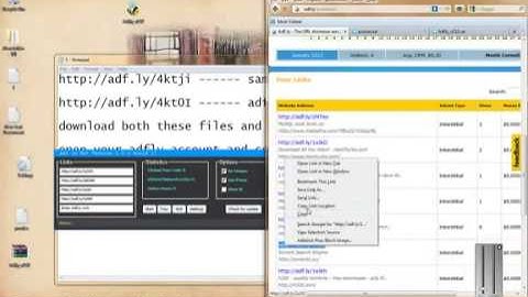 AdF.ly Bot working april 2013