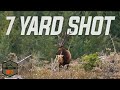 SHOTS FIRED and a ROOSEVELT ELK of a LIFETIME - EP 02 LOF4.0