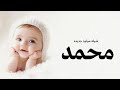 شيله مولود باسم محمد 2025 بعد خمس اسنين مرت طويله شيله بشارة مولود جديده 2025 شيله مولود باسم محمد 2025 بعد خمس اسنين مرت طويله شيله بشارة مولود جديده 2025