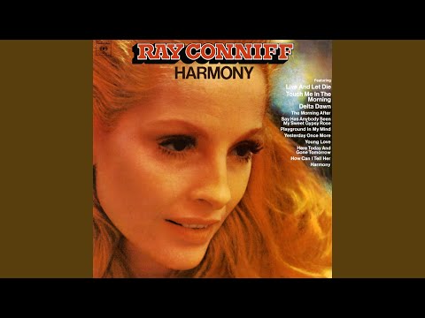 Playground In My Mind