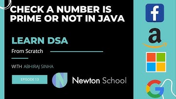 Check a Number is Prime or Not in JAVA || Learn DSA || Newton School