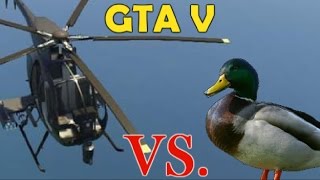 GTA V Funny Moment - Helicopter Bird Collision! screenshot 4