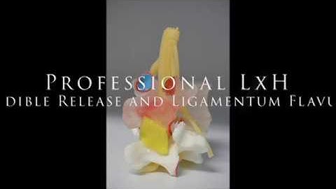 Professional LxH Lumbar Model with Audible Release and Ligamentum Flavum