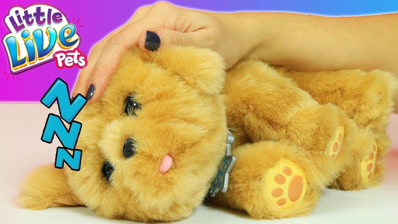 Oyuncak Köpek - Canım Köpeğim Snuggles | EvcilikTV En Yeni Oyuncaklar -  YouTube