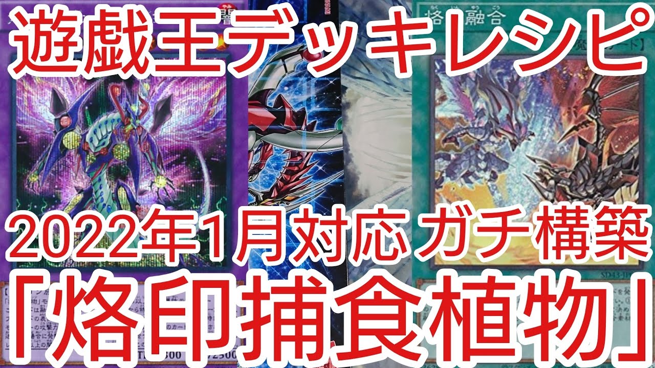 遊戯王 デッキレシピ 22年1月対応 烙印捕食植物 ガチ構築 Youtube
