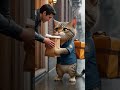 Rainy Day Delivery with a Hero Cat 🌧️🐾