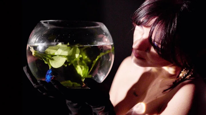 The Marías - Out for the night (Live)