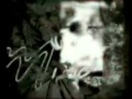 Miniature de la vidéo de la chanson Flowers Bloom (Alex Reece Remix)