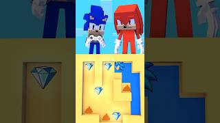 Maze Challenge with Sonic and Knuckles #minecraft #sonic