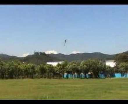 DiscoverHobby.com Esky CP2 3D RC Helicopters