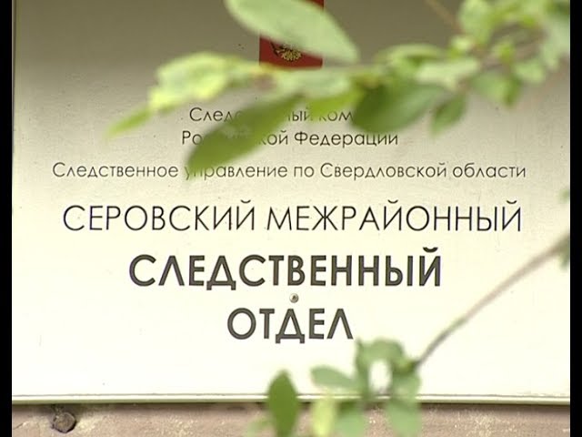 День сотрудников и работников следственного комитета Российской Федерации