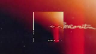 Shawn Mendes, Camilla Cabello - Señorita (Salasnich Remix) Resimi