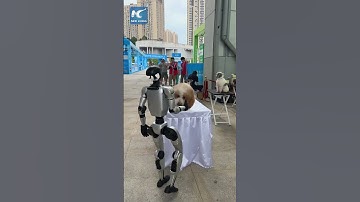 When a robot tries to befriend a dog