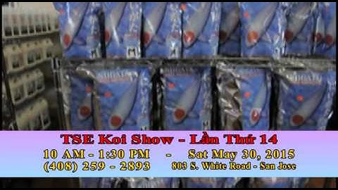 TSE Koishow Lan Thu 14th  -  May 30 2015