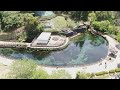 「丸池湧水」水を全部抜いたら何が?美しさの裏に30年以上続く住民の努力 GWをきれいな水で