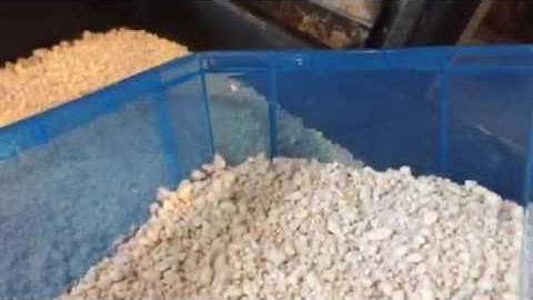 DIY Reptile Incubator, a cheap easy way to hatch awesome reptile eggs