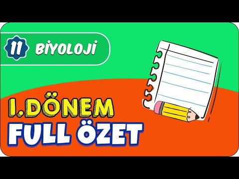 11. Sınıf Biyoloji 1.Dönem Full Tekrar 📝