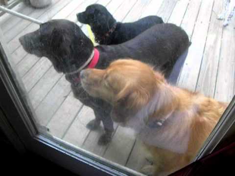 surprised pikachu memes Evil Pumpkin!