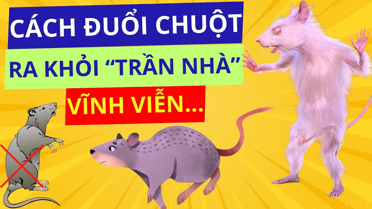 Mẹo đuổi chuột trên 