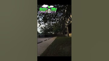 FPV Freestyle | Trees are Dicks❕