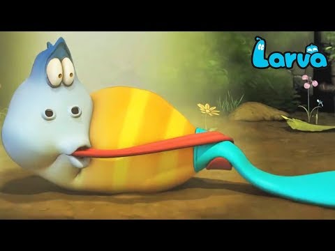 larva-cartoon-full-movie-2019-|-super-liquid-|-cartoons-for-children