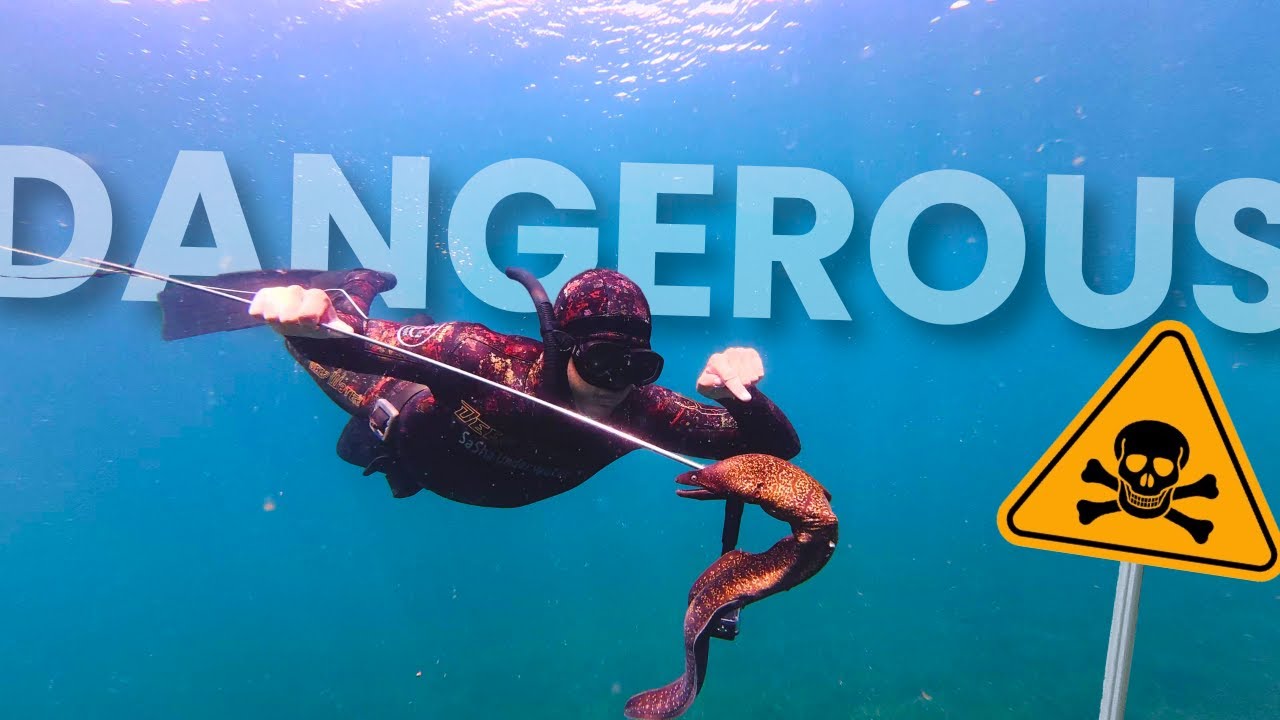 اصطدنا أخطر كائن فالبحر في عمق 20 متر | مغامرة صيد عجيبة !