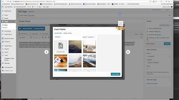 ZoomSounds, Wordpress audio player, codecanyon - how to generate waveforms again