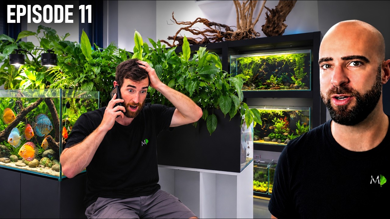 WE HAVE 2 WEEKS TO GET OUT! |EP11| Warehouse To Fish Studio