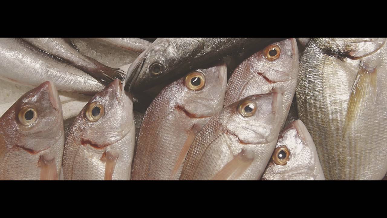 Respirare Alghero - Breathing Alghero