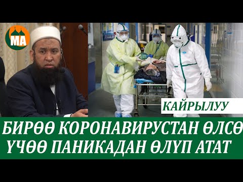 Video: Бирөө үчөө