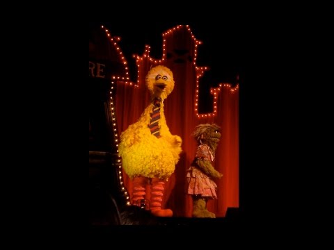 Big Bird Attacks Autistic Kid Live Ytp Youtube - gr33nthundah as a bird kid roblox