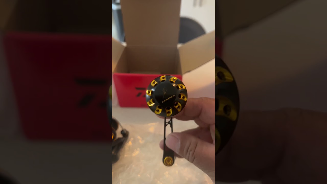 Daiwa BG 3000 &2500 with Gomexus power handles