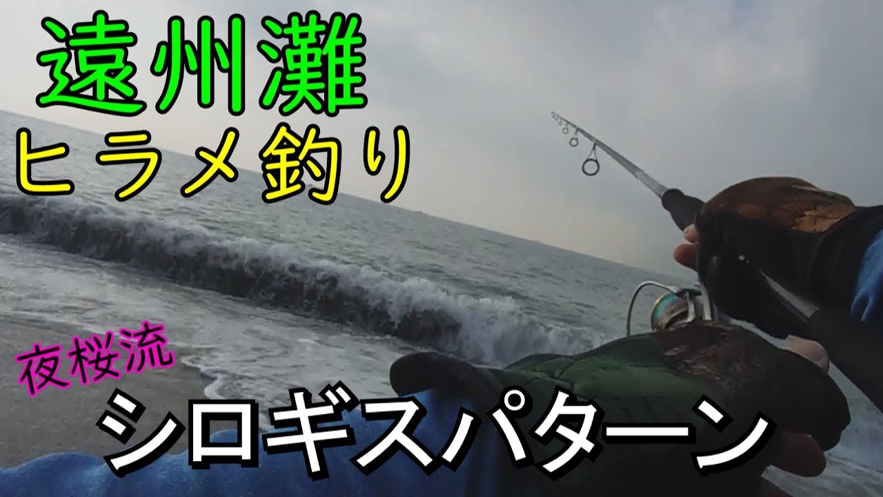 遠州灘 ヒラメ釣り 夜桜拓海がシロギスをイメージしてルアーを操る Youtube