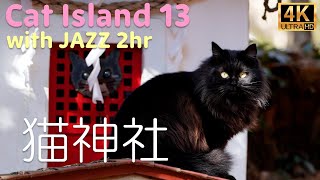 【猫×ジャズ 13th】癒しの猫島 気ままな猫生 たっぷり猫歩き2時間 Cat Island in JAPAN  with JAZZ. Japan’s paradise cat island