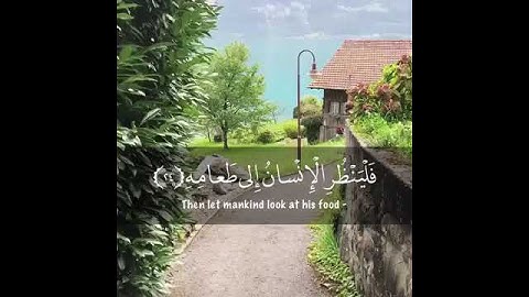 تلاوة خاشعة 🔥♥ أجمل حالات واتس اب دينية مقاطع دينية قصيرة مقاطع انستقرام دينية
