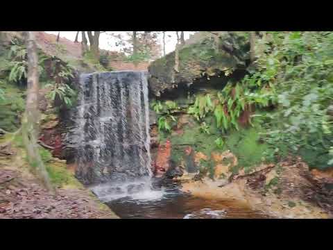 Hidden Sussex waterfall #hiking #sussex