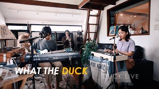 Duck Live 101 - ร้อน (boiling) - Plastic Plastic