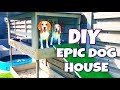 Diy dog house with pool  sandbox and dog lounge  louie the beagle