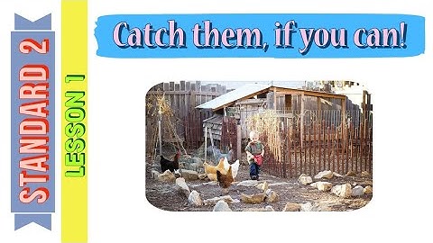 Standard 2 || ENGLISH || Unit 4 - Lesson 1 - Catch them, if you can! || Full explanation || MSBSHSE