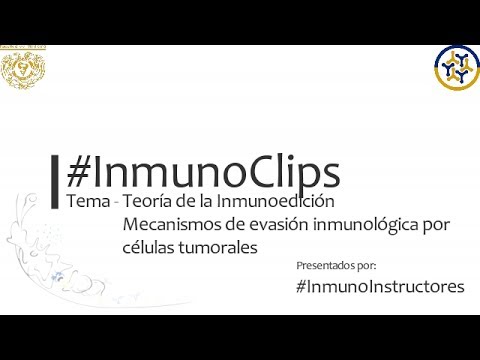 Vídeo: Escape De La Inmunovigilancia Dependiente De IFN-γ En La Tumorigénesis