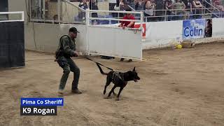 2023 Desert Dog Police K9 Trials