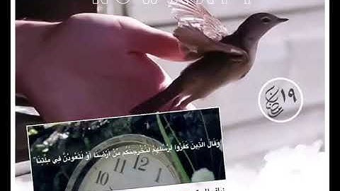 تلاوة د.نواف المورقي