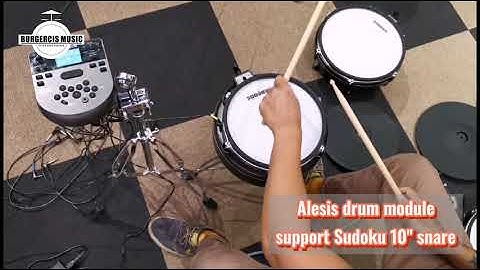 Alesis drum module support Sudoku 10" electronic snare