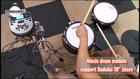 Alesis drum module support Sudoku 10" electronic snare