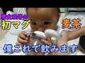 【生後6ヶ月】男女双子初めてのマグ！ちゃんと麦茶飲めたかな？mix twins drink barley tea with the first mug