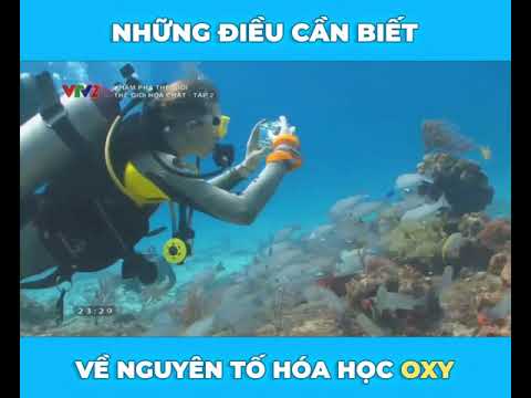 Video: Oxy Như Một Nguyên Tố Hóa Học