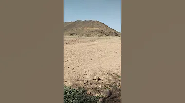 የገጠር ዘፈን 